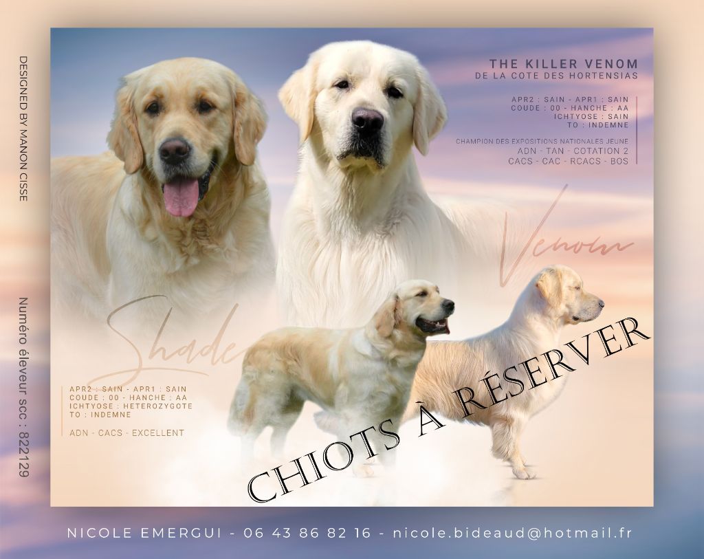 Chiot à la reservation	